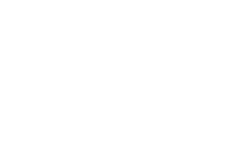 BONIGROUPS-LOGOTIPO-BLANCO