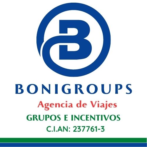 logotipo bonigroups líneas